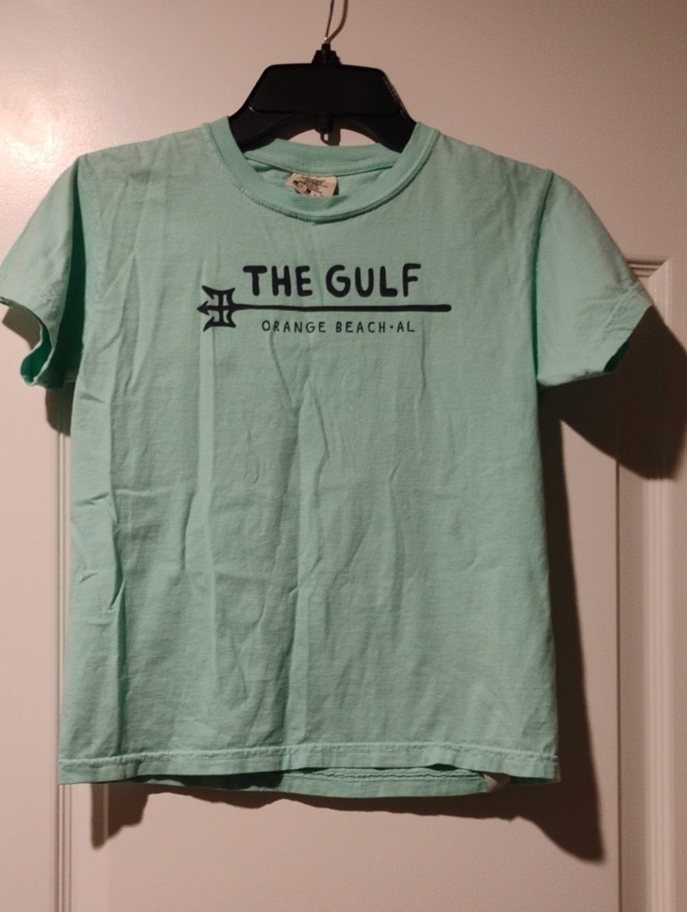 Comfort Colors Kids Short Sleeve Tee Mint Green "The Gulf" Graphic